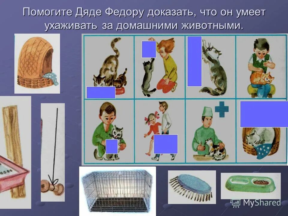 предметы ухода за собакой. предметы ухода за домашними питомцами 1 класс. инструменты для ухода за животными живого уголка. предметы ухода за домашними питомцами 1 класс. предметы для ухода за домашними животными.