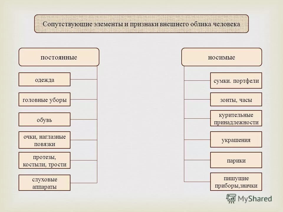 Составляющие внешнего облика. Анатомические признаки внешнего облика человека схема. элементы внешнего облика человека. сопутствующие элементы внешнего облика человека. элементы внешнего облика человека в криминалистике.
