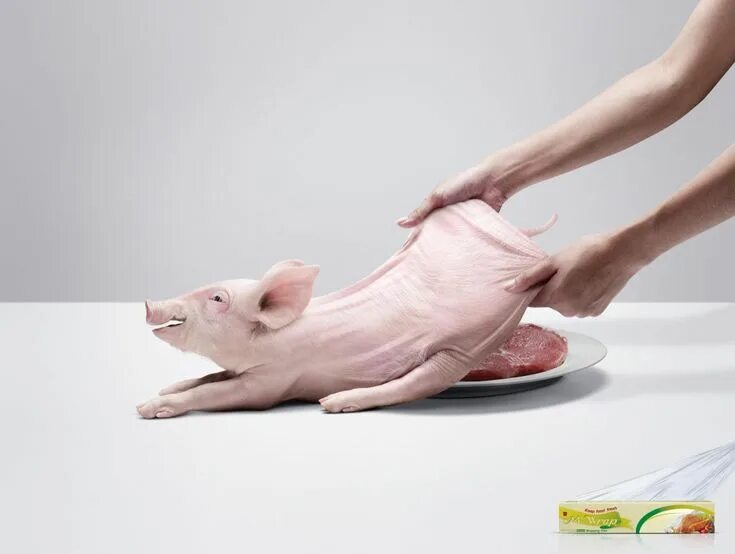 Виды рекламного продукта. Слоганы рекламы продуктов. Виды рекламной продукции таблица. Презентация рекламного продукта. Слоганы для рекламы.