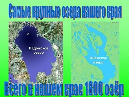 В каком городе расположен ладожское озеро