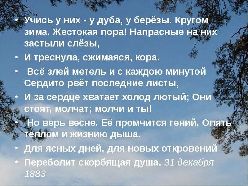 Анализ стихотворения учись у них фет. У дуба у березы Фет. Я пришёл к тебе с приветом Фет. Стих учись у них у дуба у березы.