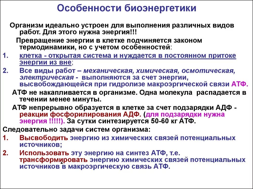 Сообщение на тему промышленная биоэнергетика с примерами Биоэнергетика отзывы