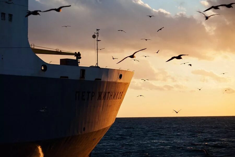 Работа в море матросом. Моряки на корабле. судно в море. суда в море. море корабль моряки.