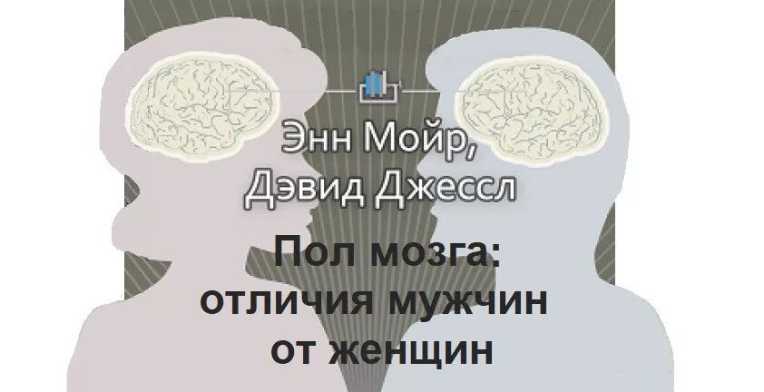 Мужской и женский мозг. Мозг мужчины и женщины различия. Различия мозга между мужчиной и женщиной.