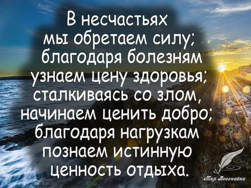 Что значит несчастье. Цитаты о ценности жизни. Афоризмы о ценности жизни. Афоризмы о жизни и жизненных ценностях. Фразы о жизненных ценностях.