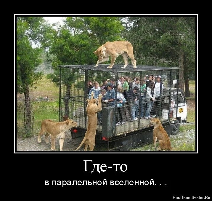 Неужель