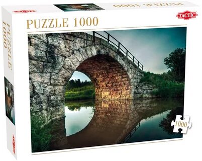 S puzzle