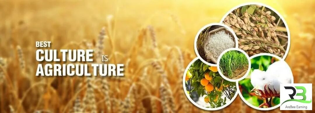 Agriculture exhibition. Culture best. Дизайн крема. New financial ethics. Группа culture beat.
