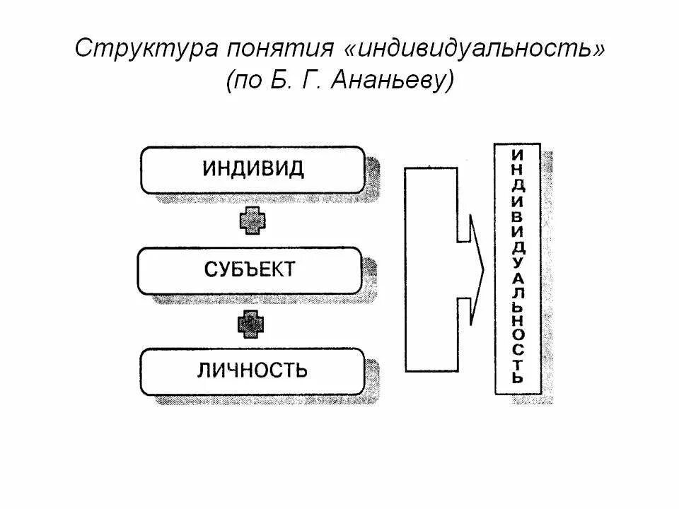 Структура понятия индивидуальность по б г Ананьеву. Структура понятия «индивид» (по б. г. Ананьеву). Структура личности по Ананьеву схема. Ананьев индивид личность индивидуальность. Б г ананьев личность