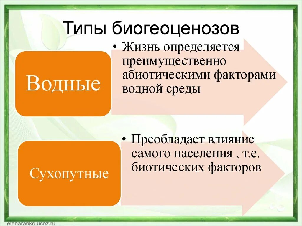 Разнообразие экологических систем. Виды биогеоценозов. Разнообразие биогеоценозов. Разнообразие водных биогеоценозов. Многообразие биогеоценозов экосистем.