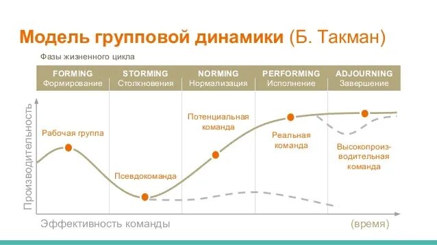 Модель развития команды Брюс Такман. Модель Брюса Такмана фазы развития. Групповая динамика модель Брюса Такмана. Стадии развития команды Брюса Такмана.