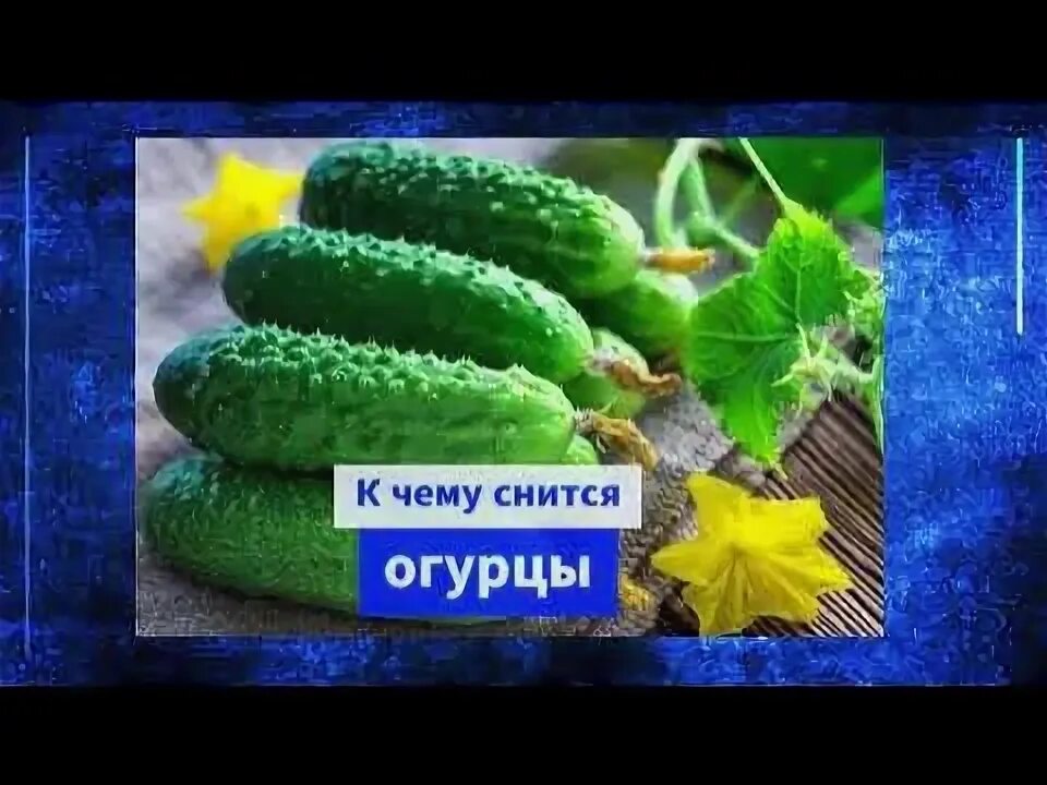 Сон огурцы свежие. К чему снятся огурцы свежие. Огурец. К чему снятся свежие огурцы женщине. Огурец на тарелке.