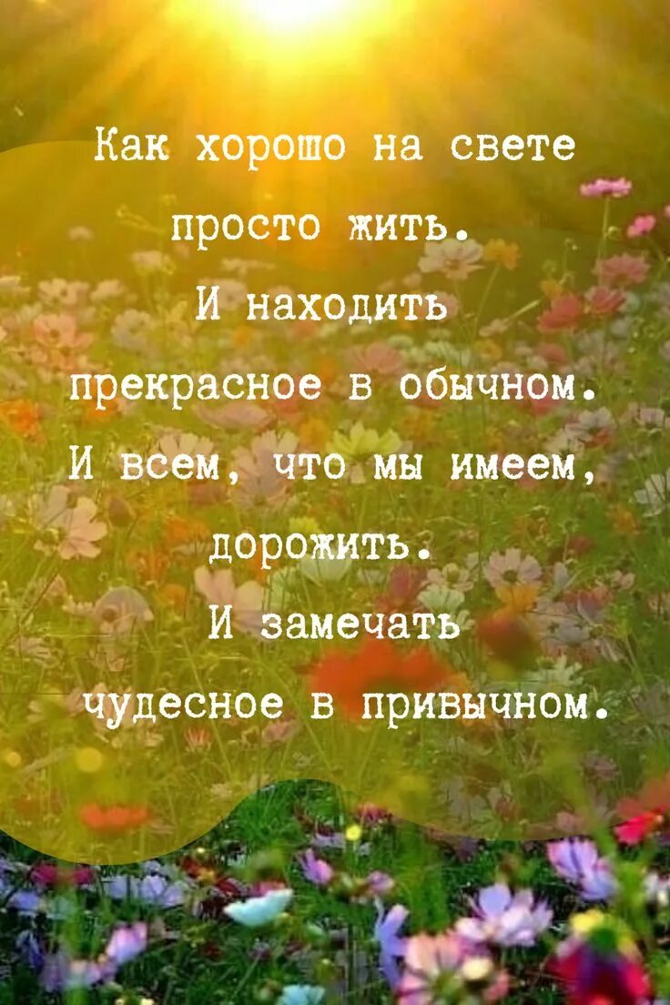 Простота стих в прозе. Красивые добрые высказывания. Афоризмы о добром утре. Позитивные изречения. Красивые цитаты на каждый день.