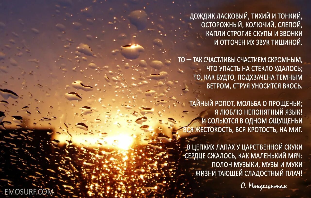 Стихи. Стихотворение про дождь. Дожди: стихи. Стихи о Дожде красивые.