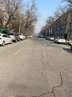 Тоголок молдо омур