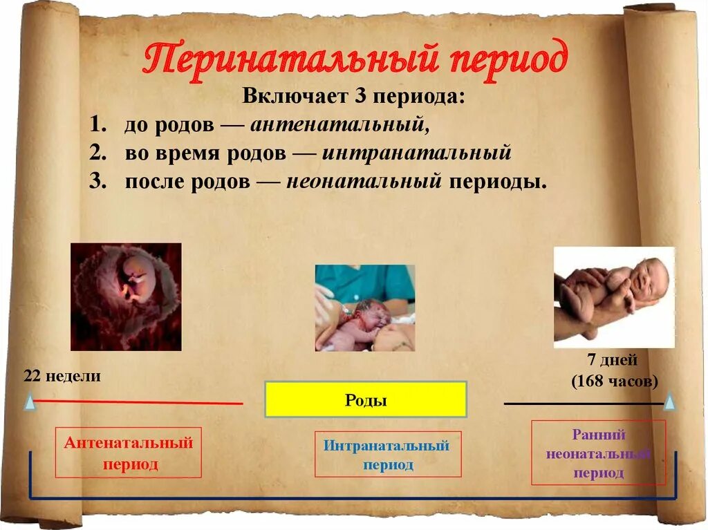 Перинатальный период антенатальный период. Антенатальный и интранатальный период. Понятие о перинатальном периоде. Антенатальный и интранатальный периоды. Антенатальный интранатальный и неонатальный периоды.