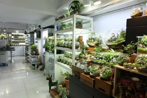 Plant hotel
