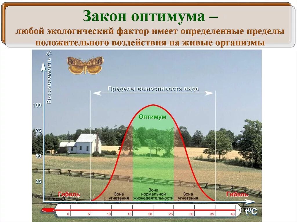 Закон воздействия экологических факторов. Закон экологического оптимума. Законы экологии. Законы оптимума,. Законы экологии ЕГЭ биология. Законы экологии ЕГЭ.