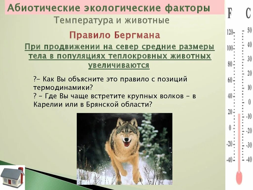 Температура окружающей среды это фактор абиотический. Абиотические экологические факторы. Абиотические факторы- это экологические факторы среды. Примеры влияния абиотических факторов. Классификация абиотических факторов.