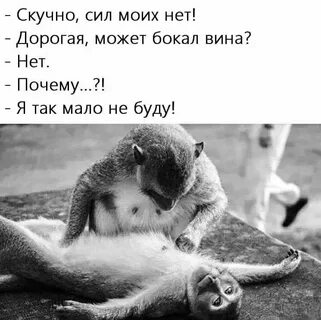 Еле добралась до вас
