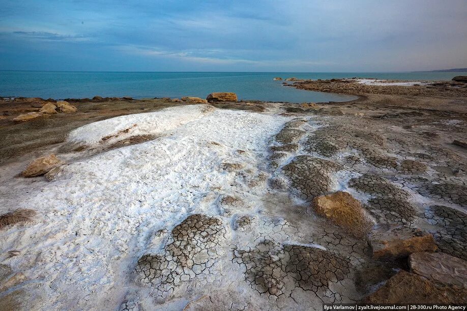 Почему мелеет море. Аральское море соль. берег аральского моря. берг аральское море. аральское море фото.