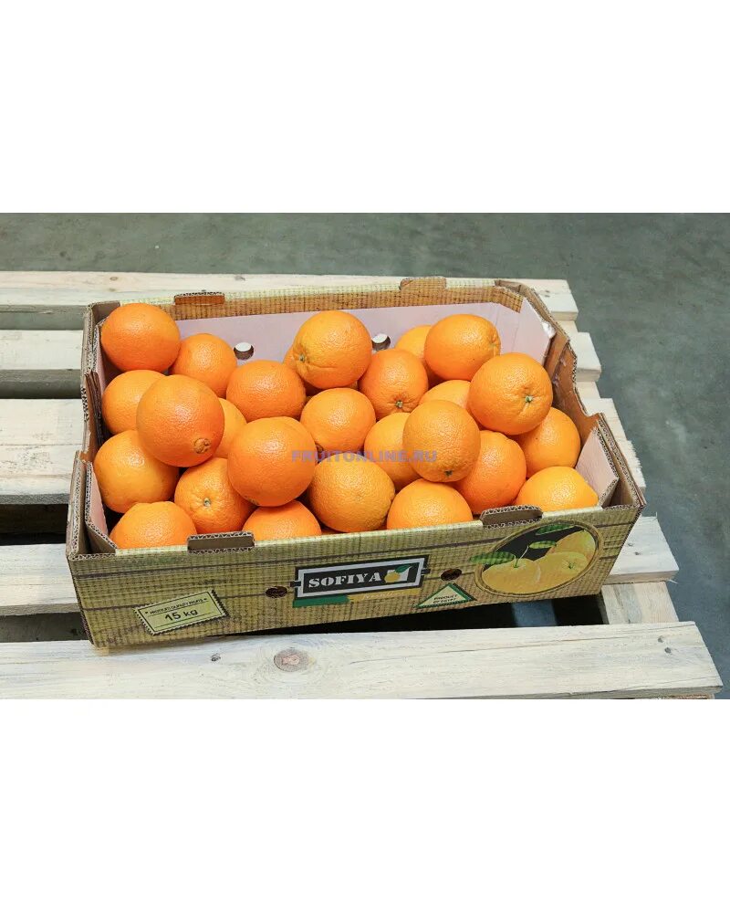 Килограмм апельсинов через. Апельсин Навелин. Килограмм апельсин. Марокканские апельсины. Кг апельсинов.