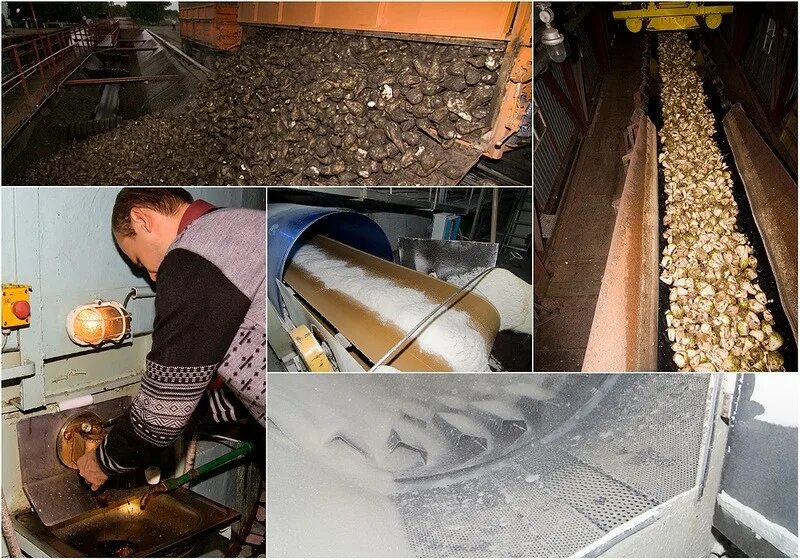 Как сделать фигурки из сахара. Декор торта цветным сахаром. Как делается сахарный. Как делается сахарный. Торт украшенный цветным сахаром.