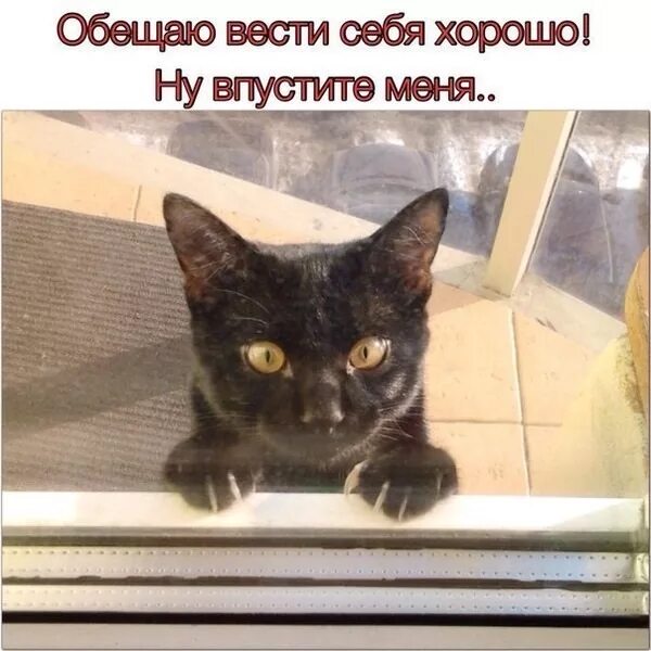 Ок пикча. В чем нуждаются люди. Демотиваторы про конец лета. Ну хорошо быстрее. Ну хорошо хорошо.