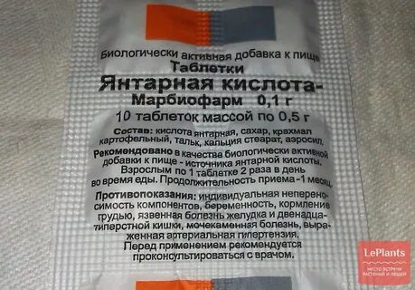 Янтарная кислота интоксикация