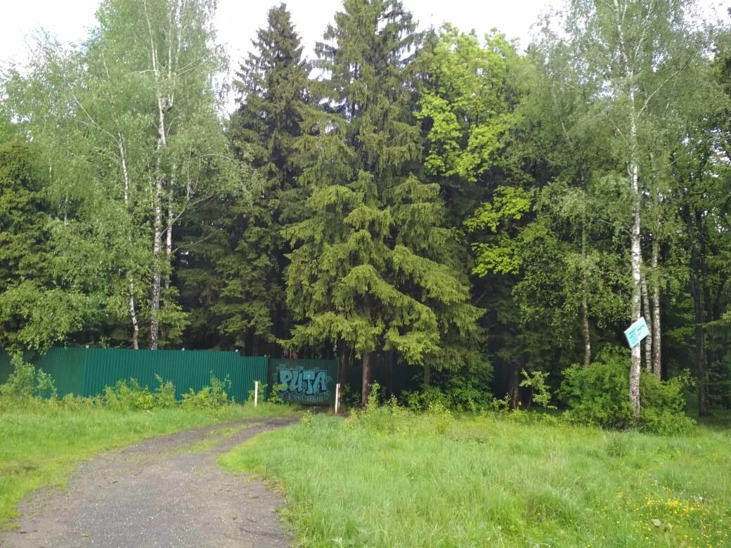 Гп лесной. Гп лесной. Поселок лесной пушкинский район московской. Городская больница лесной свердловская область. Дом 56.