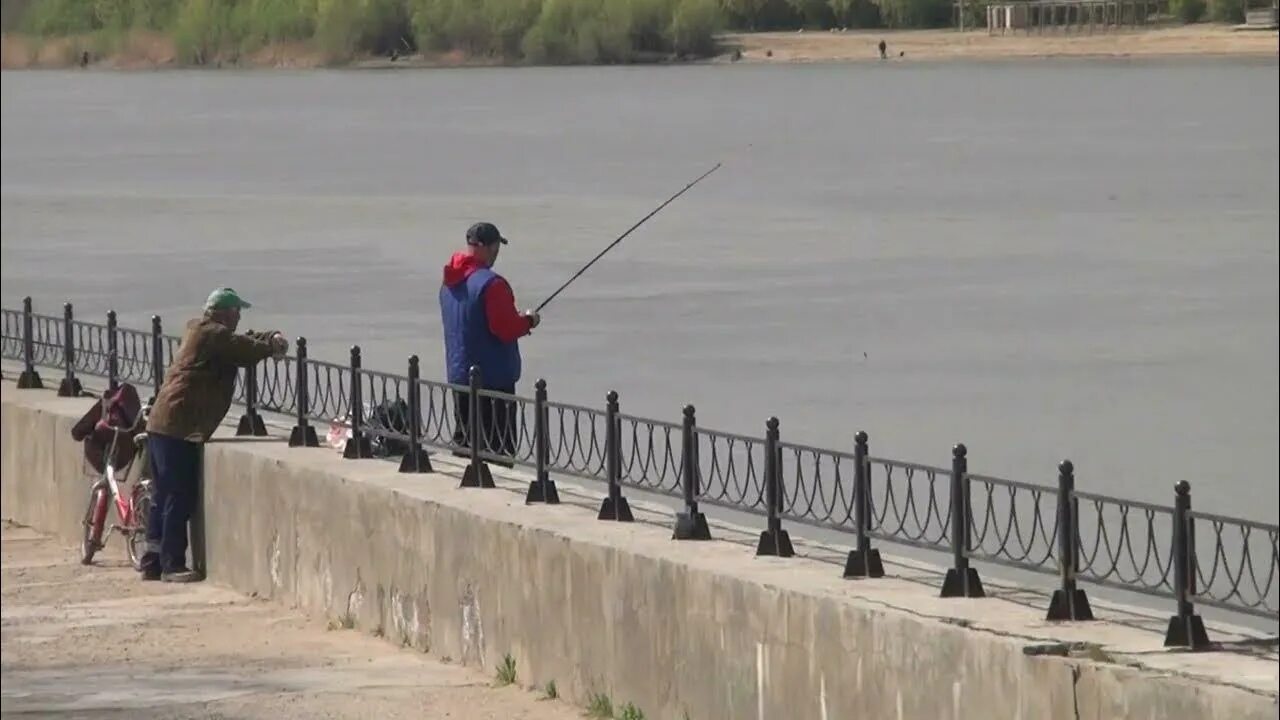 Рыбалка на набережной. Байбек рыбалка Астрахань. Рыбалка в Астрахани. Ловля воблы в Астрахани в апреле.