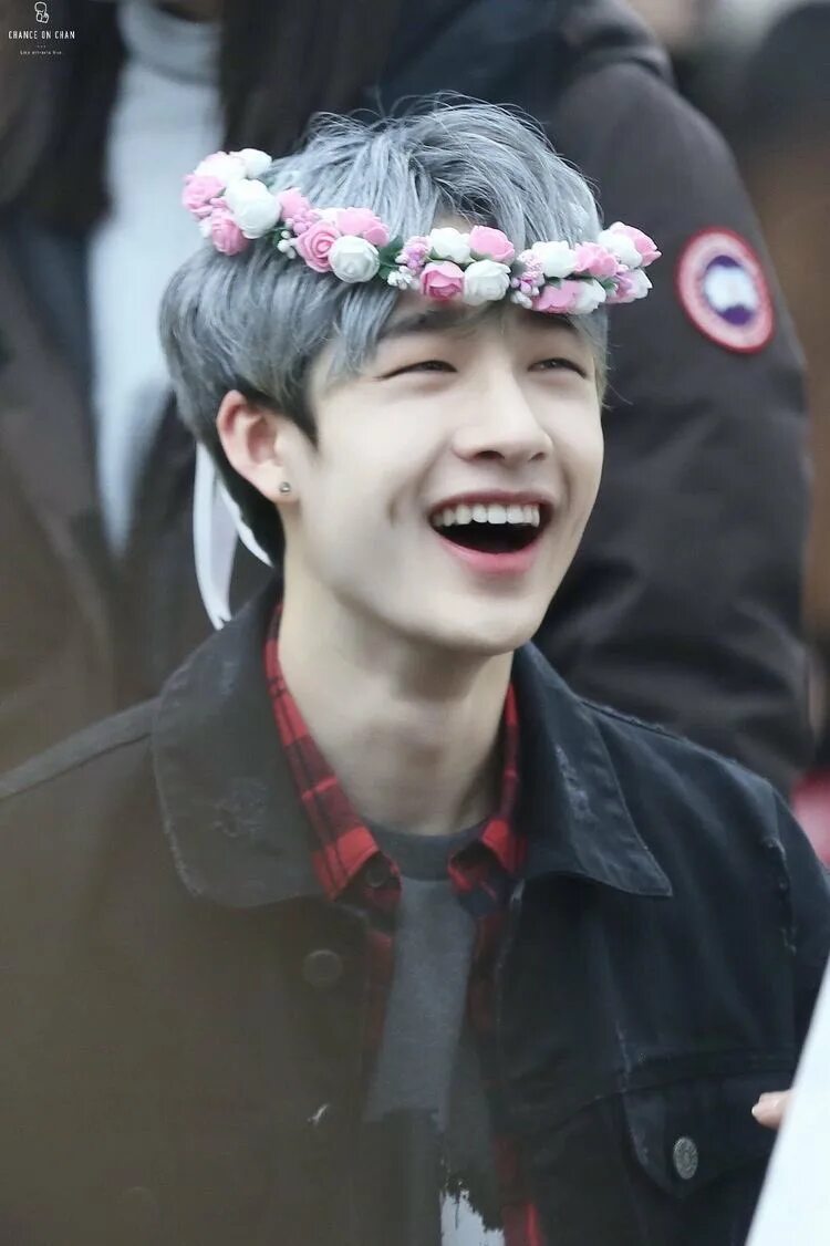 Волосы бан чана. Бан чан стрей. бан чан из stray. милый чан stray kids. stray kids бан чан милый.