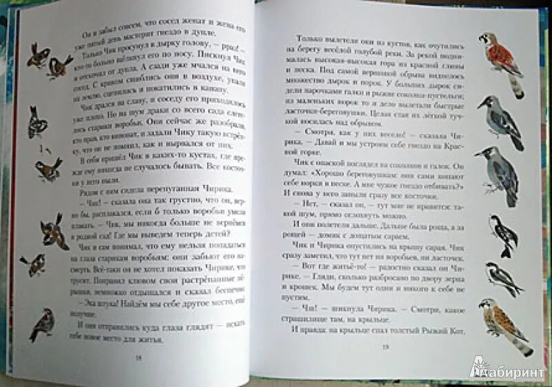 Поют читая слова. Бианки в.в. "кто чем поет?". Обложка книги кто чем поет. Бианки кто чем поет читать полностью.