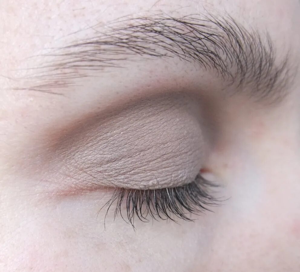 Лучшие тени 2017. Сухие тени лореаль. популярные тени 2019 года. l&#039;oreal paris color queen в оттенке 03 могущественный коричневый.