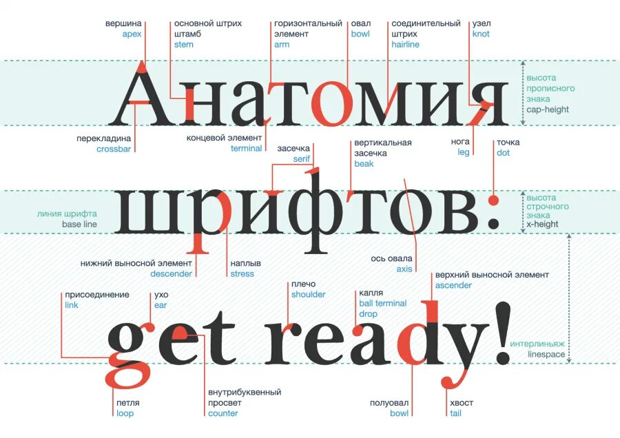 Создавай шрифт и получай деньги. Анатомия шрифта. термины в типографике. элементы букв в шрифтах. структура шрифтов в типографике.