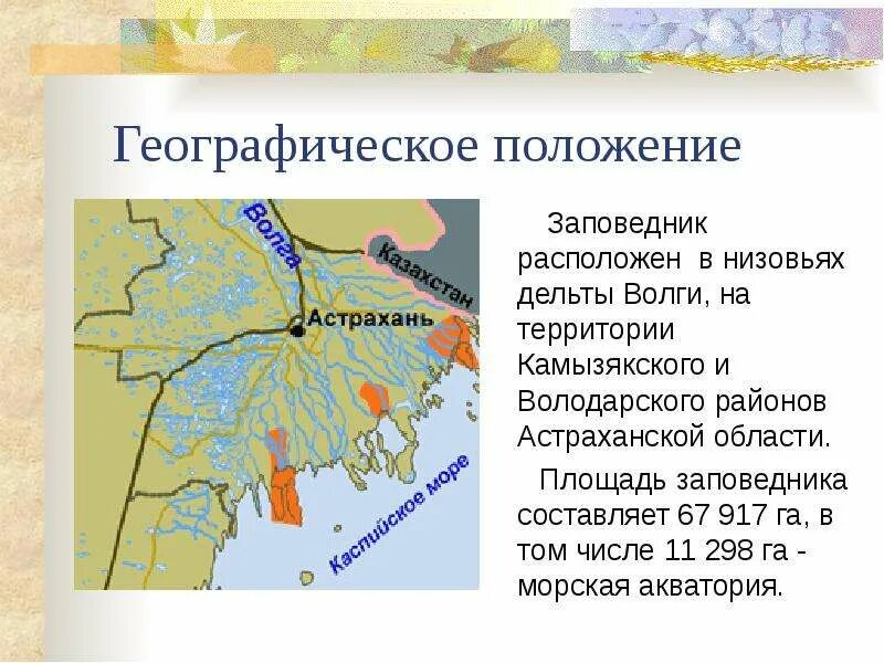 Астраханский заповедник местоположение и особенности. Астраханский заповедник географическое положение. Астраханский биосферный заповедник местоположение. Астраханский заповедник географическое положение на карте