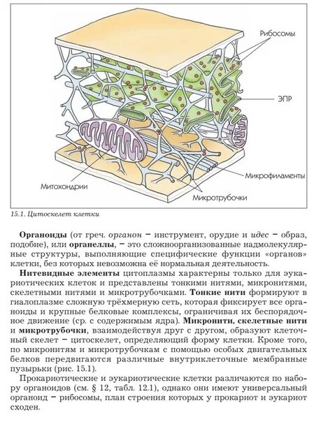 Изменения биология 2023. Клетка ЕГЭ биология 2023. Клетка ЕГЭ биология 2023 цветная. Из чего состоит биология ЕГЭ раздел.