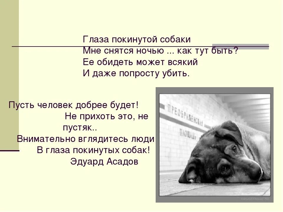 Если приснилась собака. Ты в ответе за тех кого приручили сочинение. Глаза покинутой собаки стих. Мы должны быть в ответе за тех кого приручили. Сочинение на тему ты в ответе за тех кого приручил.