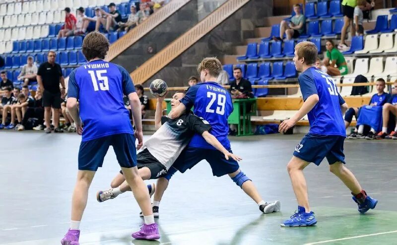 Гандбол. Гандбол тольятти. Фестиваль гандбола в тольятти 2023. Гандбол среди школьников. Гандбол 2023 2024.