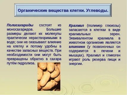 Органические клетки