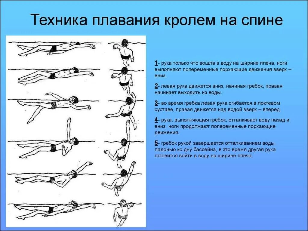 Обучение технике плавания кролем на спине. Обучение технике плавания кролем на спине. Фазы движений при плавании кролем на груди. Плавание баттерфляй кроль на спине. Техника плавания брассом.