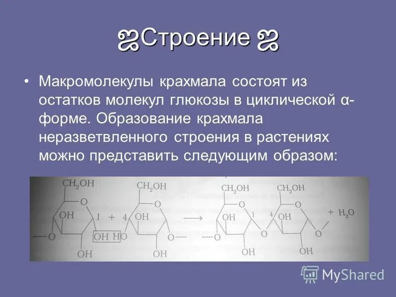 Крахмал водоросль. Строение макромолекулы амилозы. Сахароза строение макромолекулы. Образование молекул крахмала из Глюкозы. Крахмал образуется из Альфа Глюкозы.