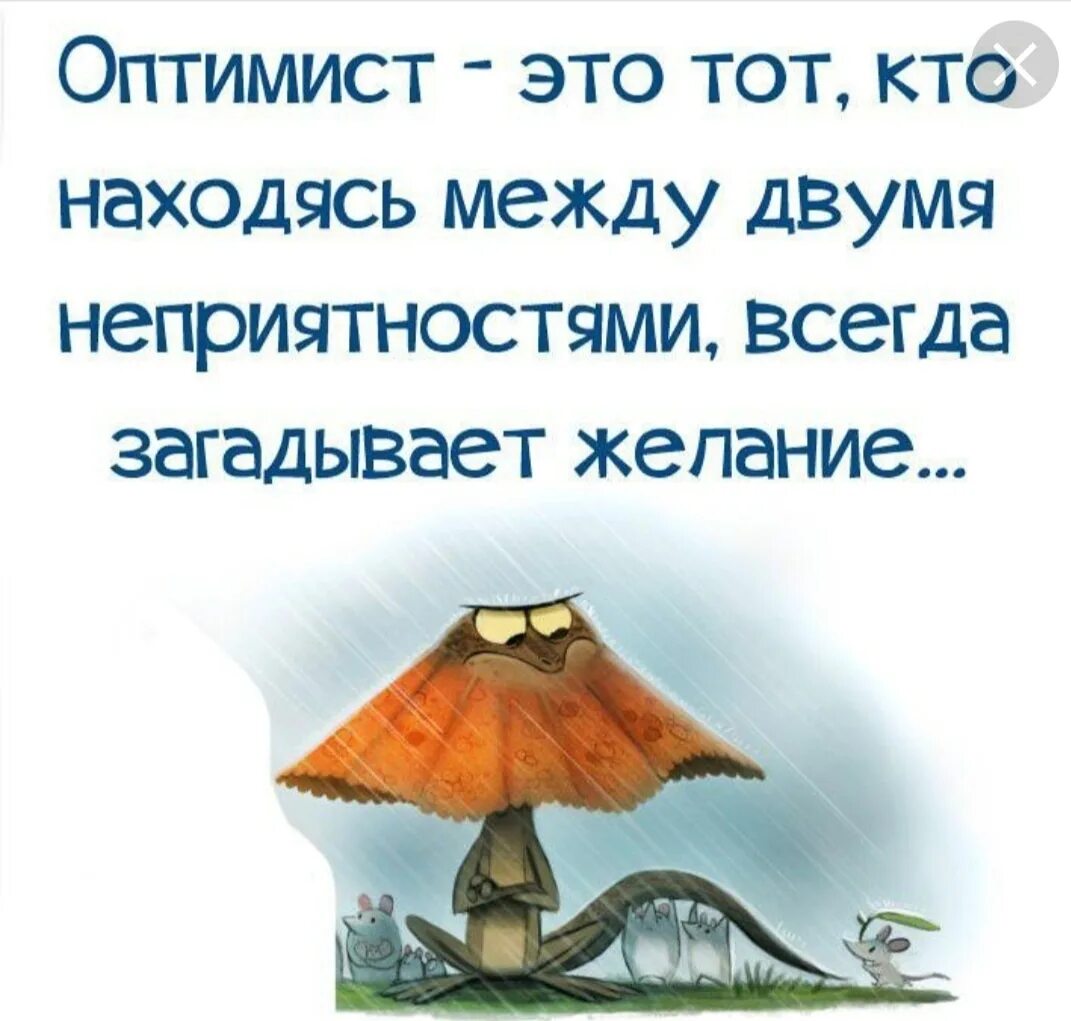 Где оптимизм. Оптимистичные высказывания. шутки про оптимизм. фразы оптимиста. высказывания про оптимизм.
