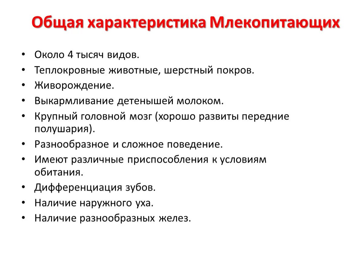 Млекопитающие 8 класс биология кратко. Общая характеристика класса млекопитающие 7 класс биология. Общая характеристика млекопитающих 8 класс. Общая характеристика млеко. Общая характеристика моекопи.