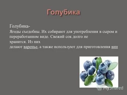 Голубика для чего полезна для человека