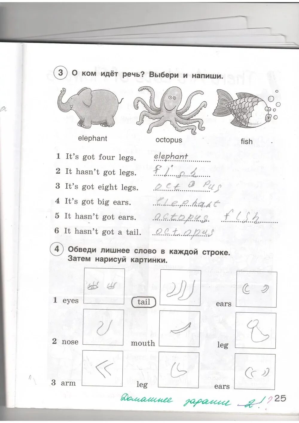 английский язык спотлайт 2 класс учебник. упражнения 3 класс англ яз. англ яз 3 класс рабочая тетрадь стр 24. английский язык 2 класс учебник быкова. английский язык страница 25 упражнение.