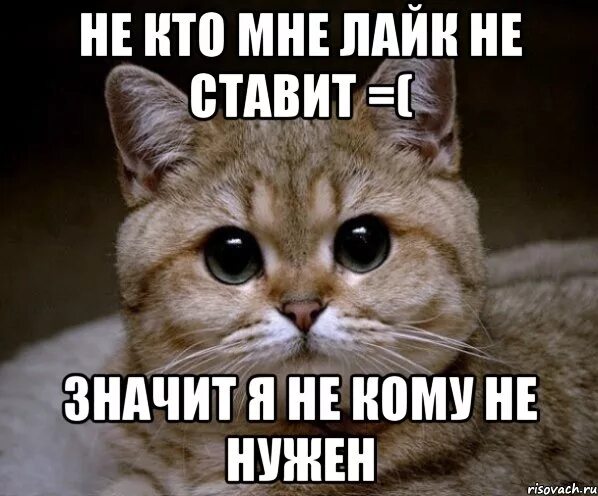ну хотя бы троечку. я устал босс. гения сразу видно хотя бы потому что против него объединяются. ну пожалуйста скажи. есть такое слово не хочу.