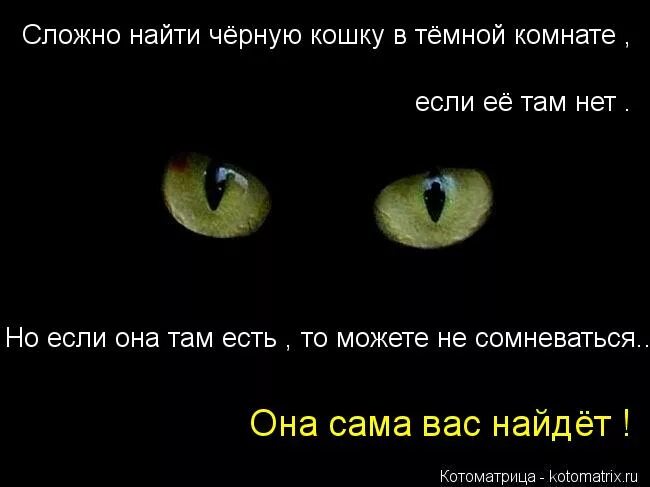 Искать черную кошку в темной комнате конфуций. Не ищите черную кошку. Трудно искать чёрную кошку в тёмной комнате. Черную кошку в темной комнате особенно если ее там нет. Комната в темноте.