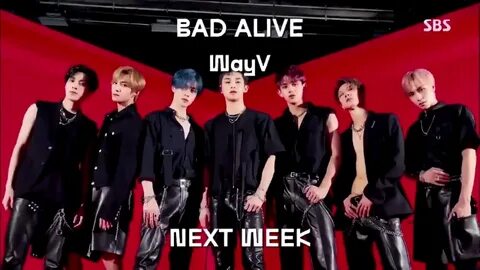 Bad v