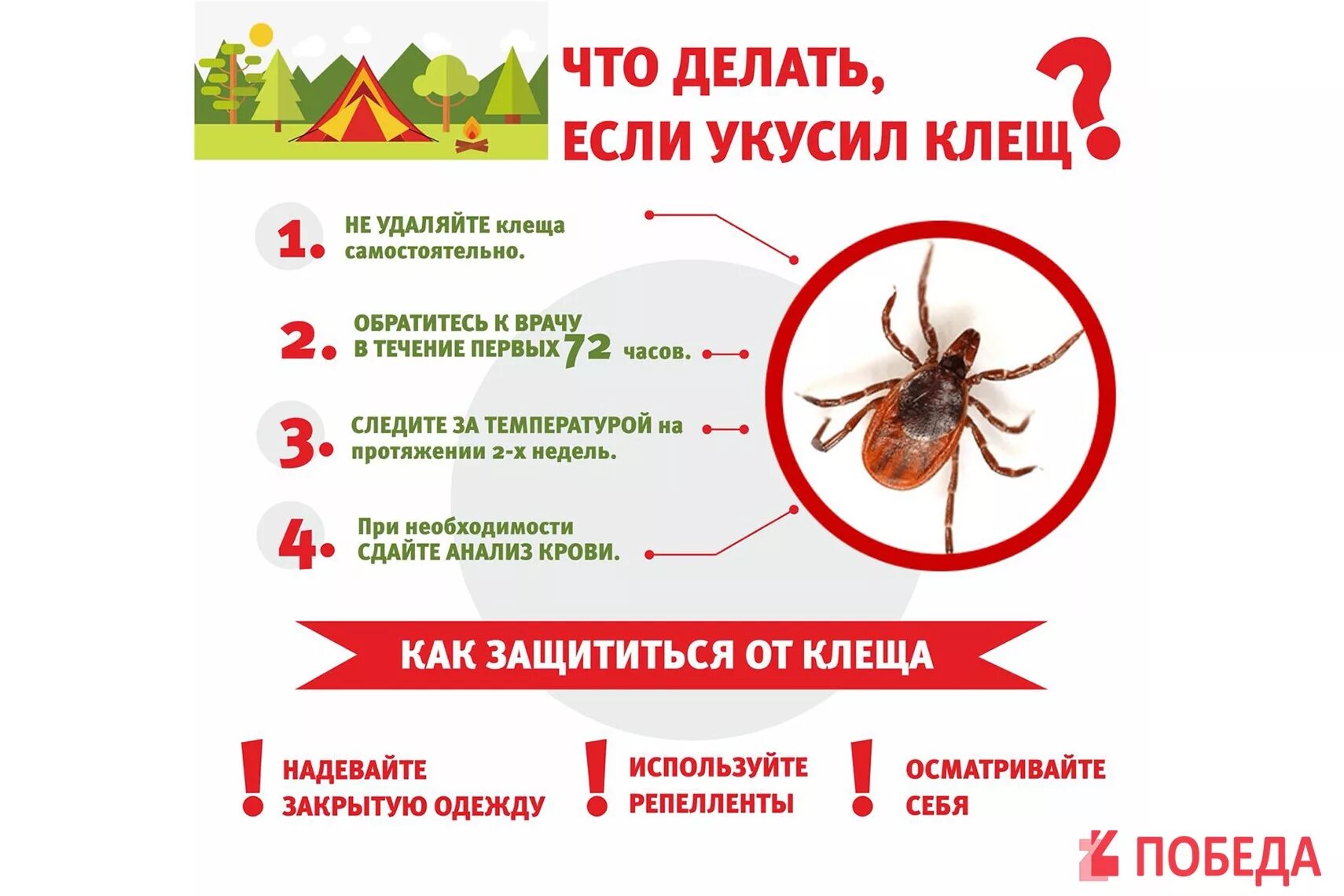 Прививка от клеща можно в баню. Профилактика после укуса клеща. Укус энцефалит клещевой энцефалит. Памятка первая помощь при укусе клеща. Чтотдеоаит если укусил клещ.